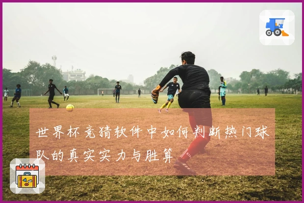 世界杯竞猜软件中如何判断热门球队的真实实力与胜算