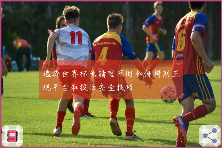 选择世界杯竞猜官网时如何辨别正规平台和投注安全技巧