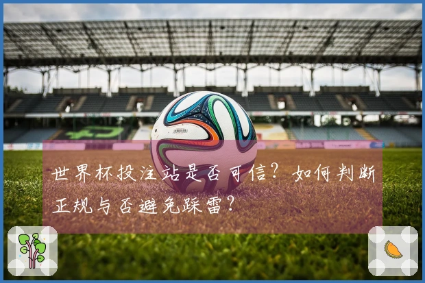 世界杯投注站是否可信？如何判断正规与否避免踩雷？